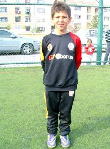 Lowen Geboren in 2003-2004-8